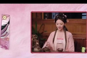 章若楠：国民老婆的演艺事业与未来发展