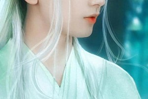 精选图片集锦：视觉盛宴一览