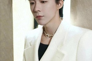 娱乐圈明星闪婚闪离现象：刘宇宁、黄景瑜等案例解析