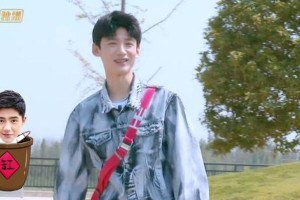 《明星大侦探》第四季高能烧脑：刘昊然白敬亭智商对决